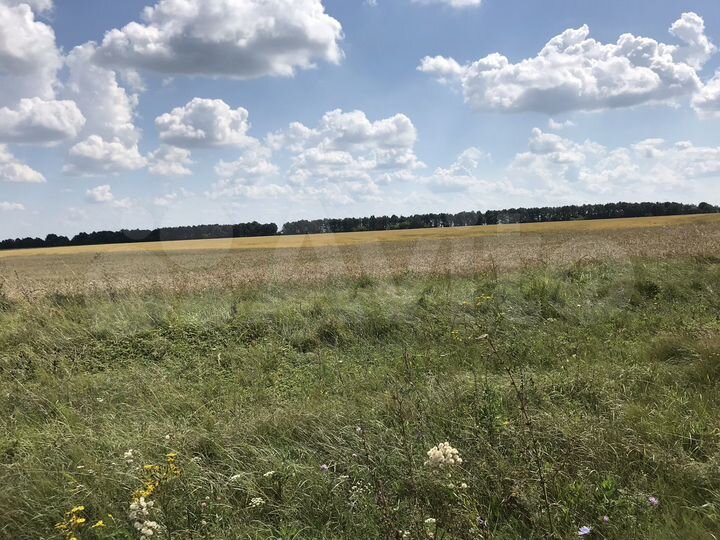 Участок 7 га (СНТ, ДНП)