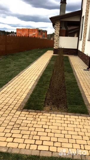 Рулонный газон