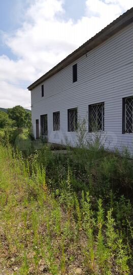 Помещение общественного питания, 294.4 м²