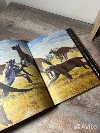 Энциклопедии про динозавров 3 шт