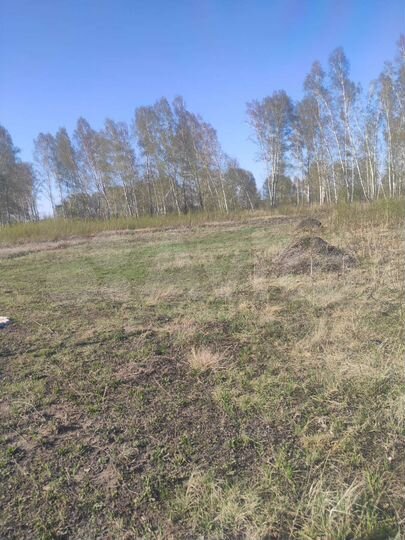 Участок 10 сот. (СНТ, ДНП)