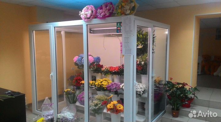 Холодильная камера