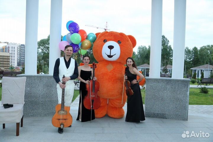 Плюшевый мишка- сюрприз