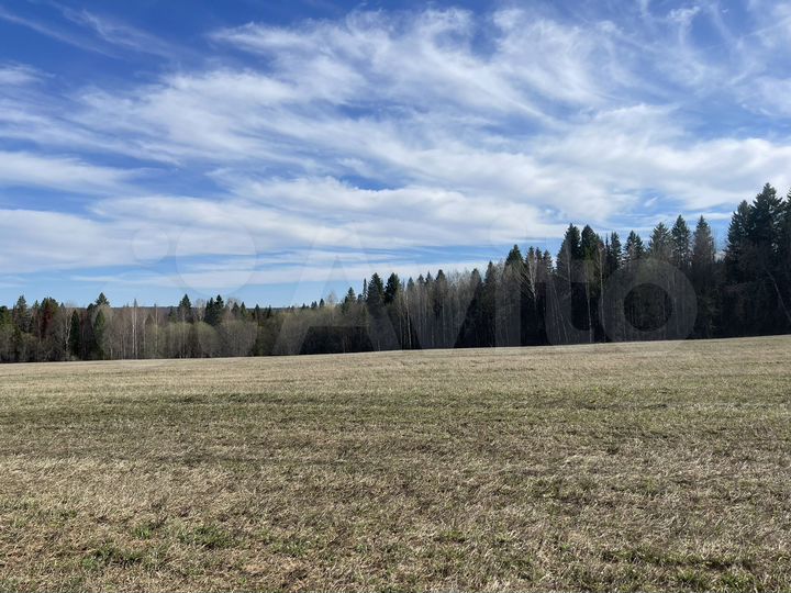 Участок 4,2 га (СНТ, ДНП)