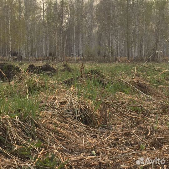 Возьму пасти скотину