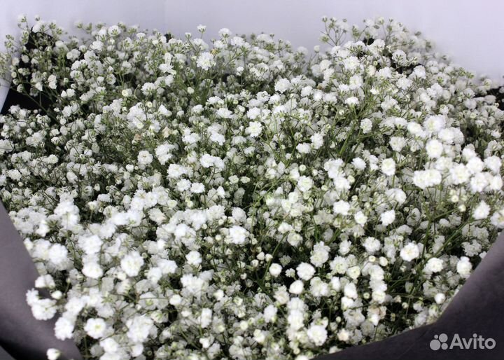 Гипсофила. Букет цветов