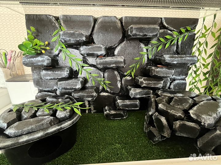 Террариум для рептилий