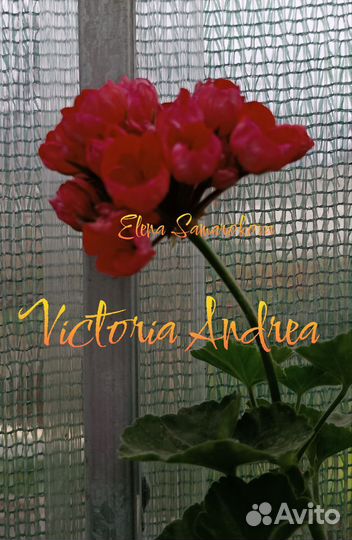 Комнатные пеларгонии