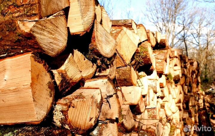 Дрова в ло