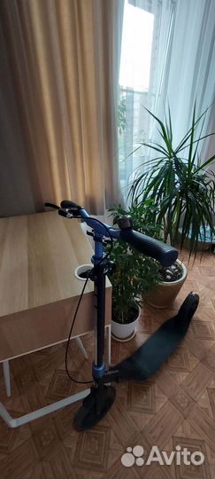 Двухколёсный самокат Globber