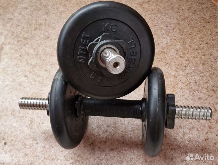 Гантели разборные