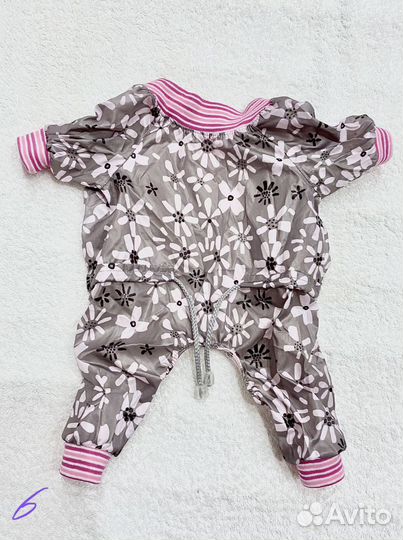 Одежда для собак много