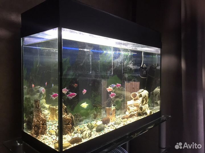 Аквариум
