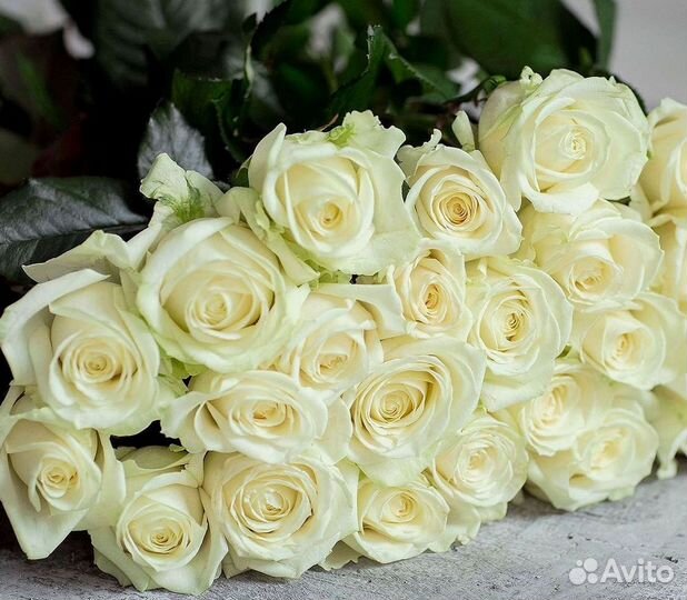 Букет роз 101 роза 51 роза