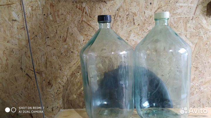 Балон под Брагу и самогон