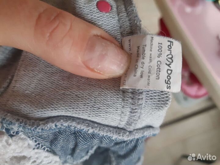 Костюм для собачки