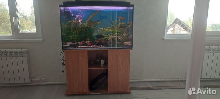Аквариум 240 литров