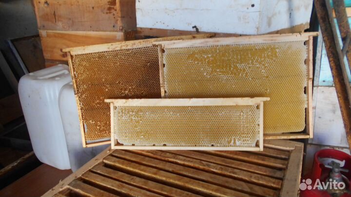 Вощина. Суш гнездовой. Суш магазиннРамки с вощиной