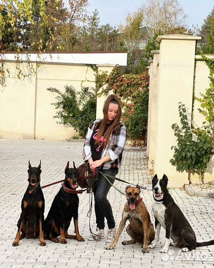 Передержка животных, зооняня