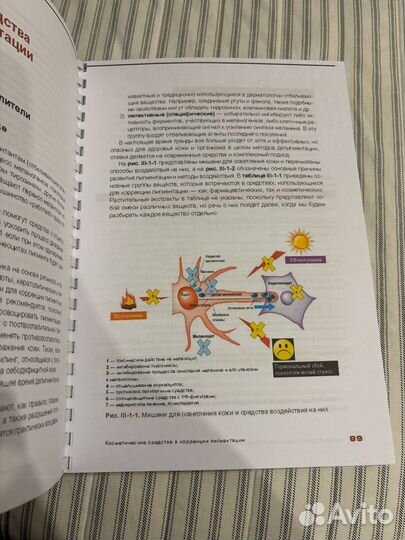 Пигментация эрнандес 1 книга