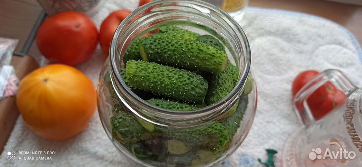 Продам огурцы