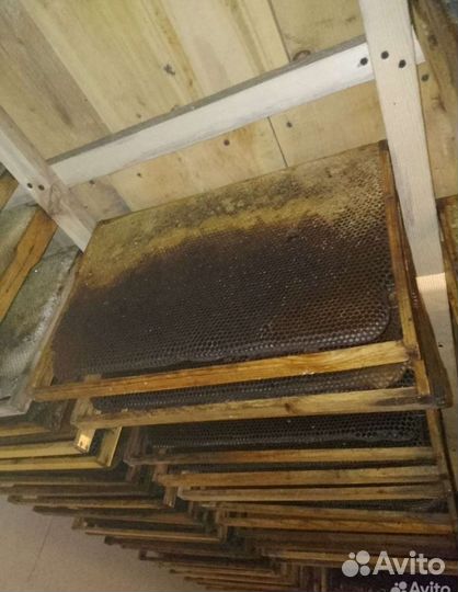 Рамки для ульев гнездовые, медовые