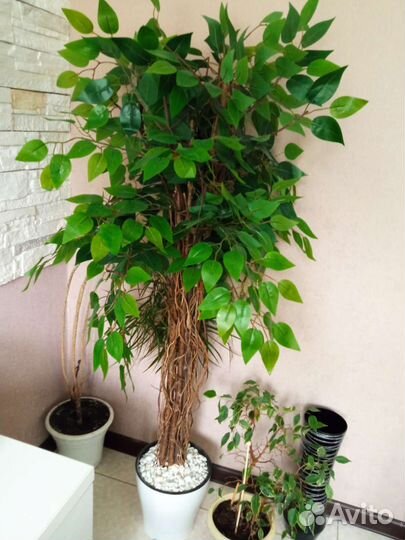 Исскцственные цветы