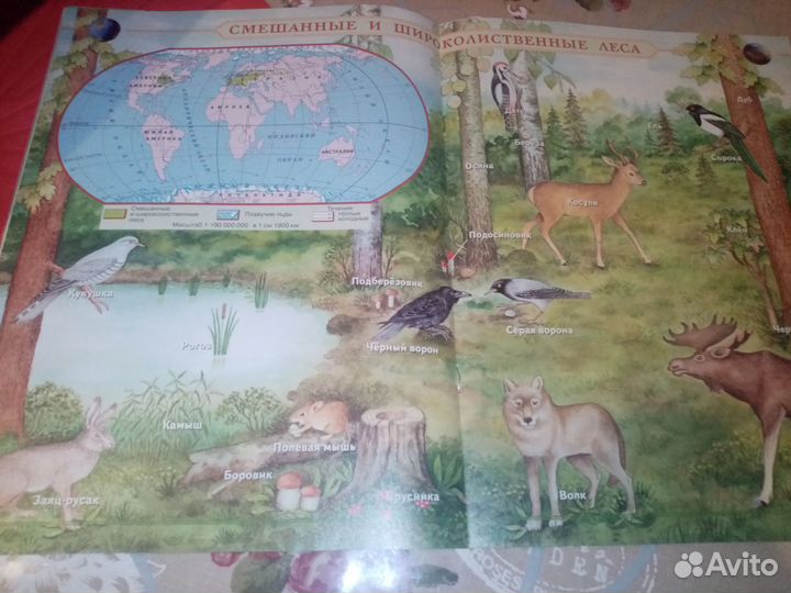 Атлас природоведение 5 класс