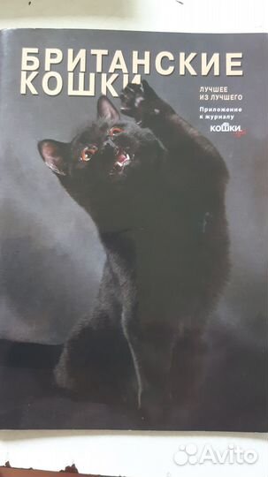 Приложение к журналу кошкиинфо