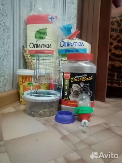 Всё для хомяка