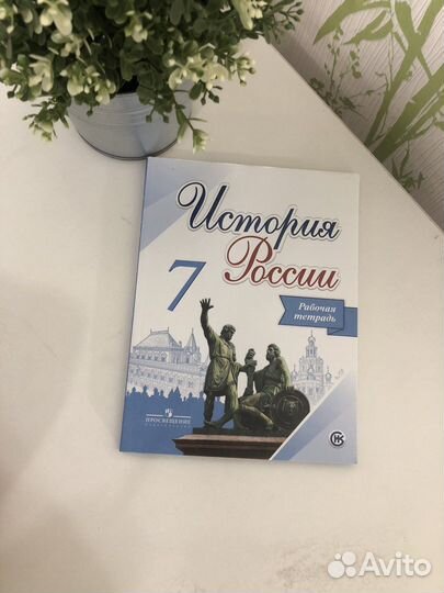 Рабочие тетради 7 класс