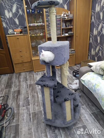 Когтеточка домик для кошки бу