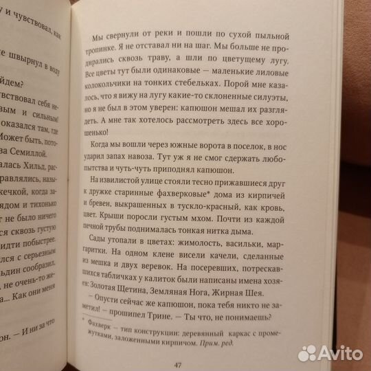 Тонкий меч. Фрида Нильсон