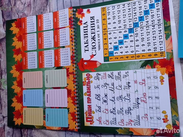 Расписание уроков пиши стирай