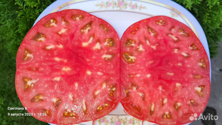 Семена крупных томатов. Коллекционные