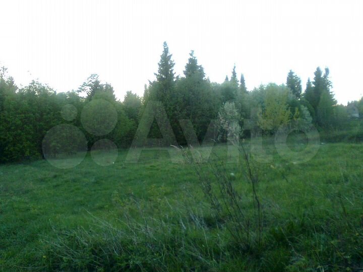 Участок 7,5 сот. (СНТ, ДНП)