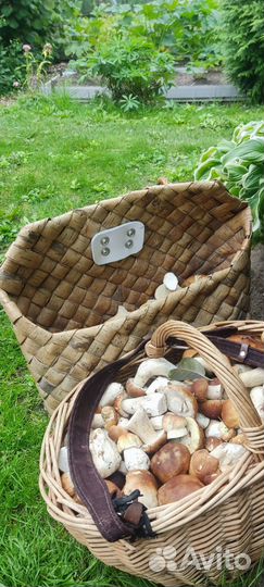 Пестерь из бересты