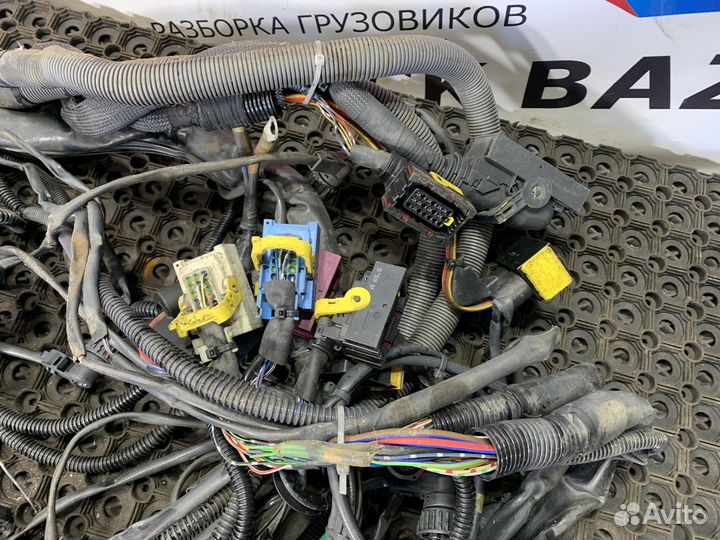 Qxvk61 Электропроводка шасси Mercedes-Benz Actros