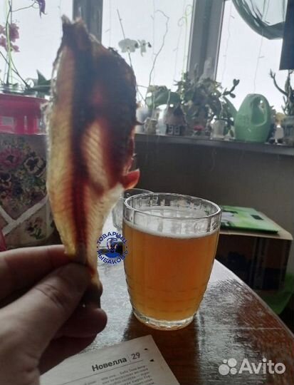 Астраханская вобла