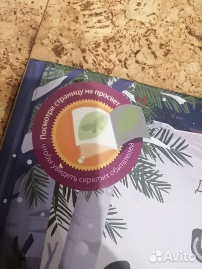 Книга Что скрывает зима