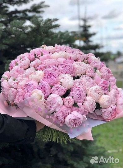 Пионы Букет пионов Доставка цветов