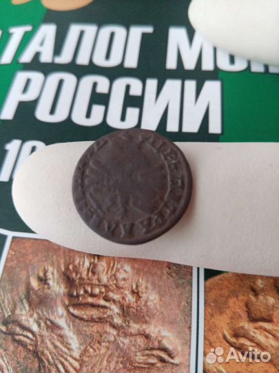 Полушка повелитель 1707 г