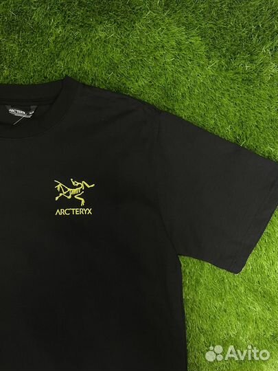 Футболка мужская Arcteryx