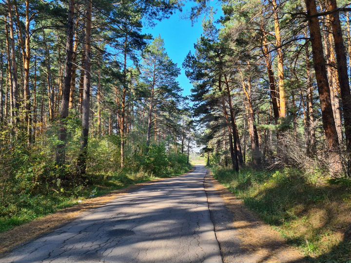 Участок 14,5 сот. (СНТ, ДНП)