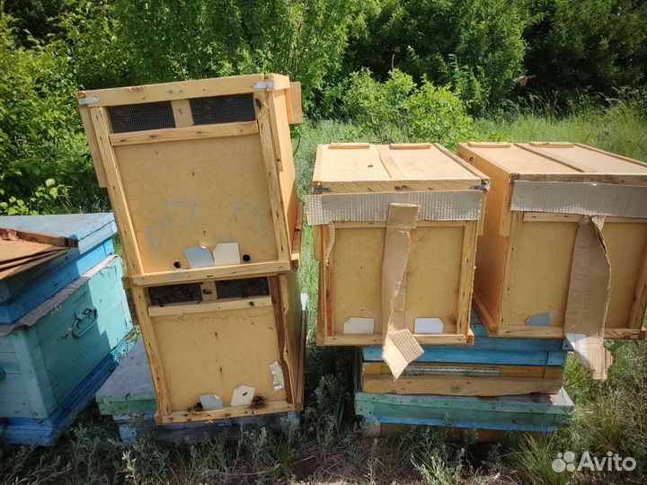 Рамки для ульев дадан