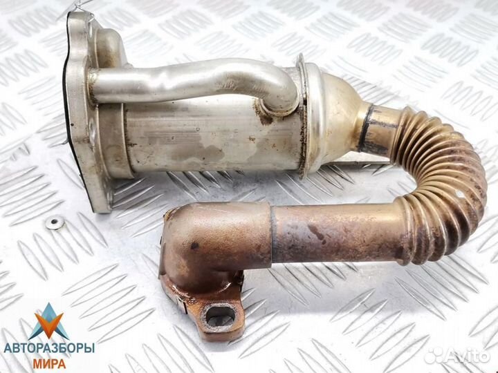 Охладитель EGR / Радиатор EGR Renault Modus 2 2010