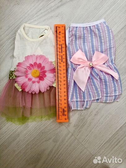 Одежда для маленьких собак