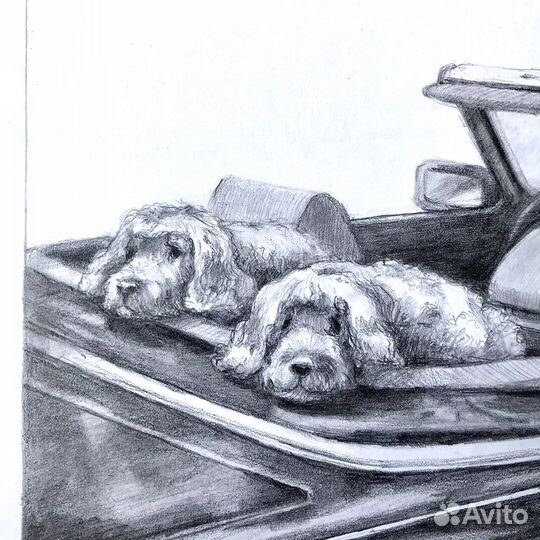 Постер Картина Открытка