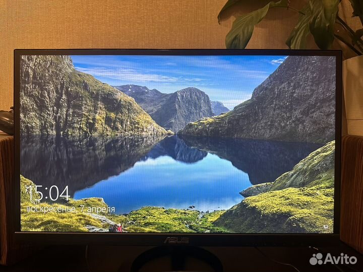 Монитор asus 24дюйма