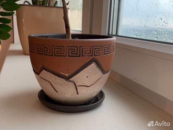 Керамические горшки для цветов бу